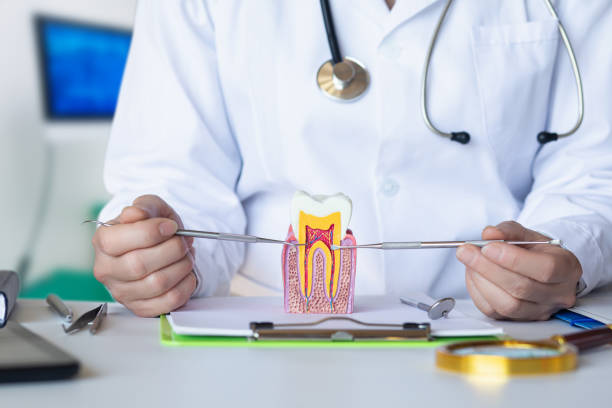 Best Emergency Dental Surgery in Charlotte Hall, MD